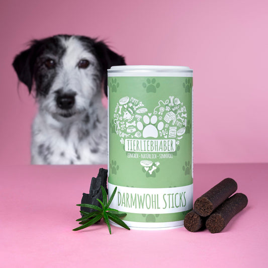 Darmwohl Sticks (Wert 24,90€)