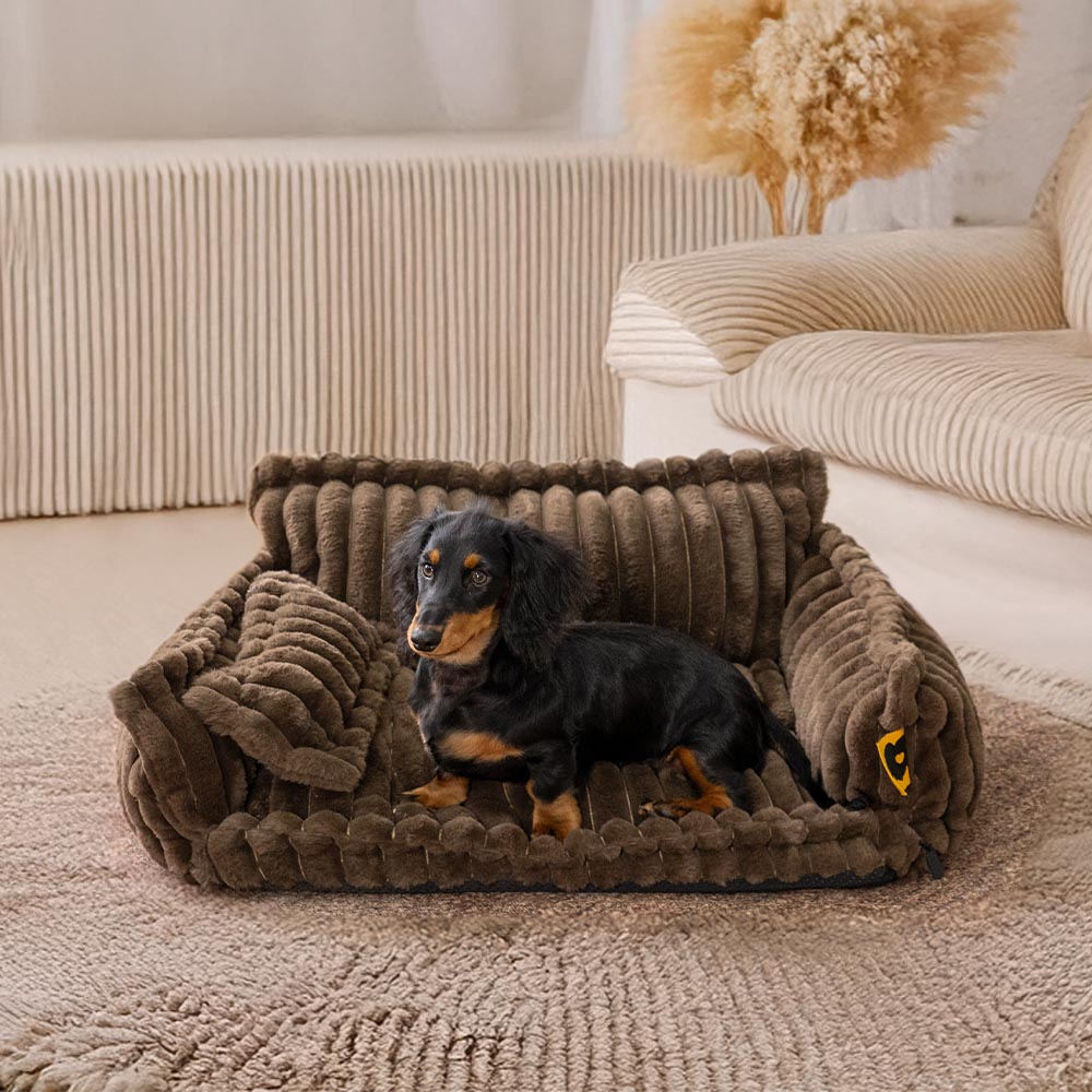 THE COZYPAWS LUXE PET SOFA