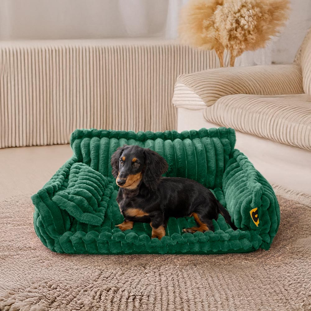 THE COZYPAWS LUXE PET SOFA