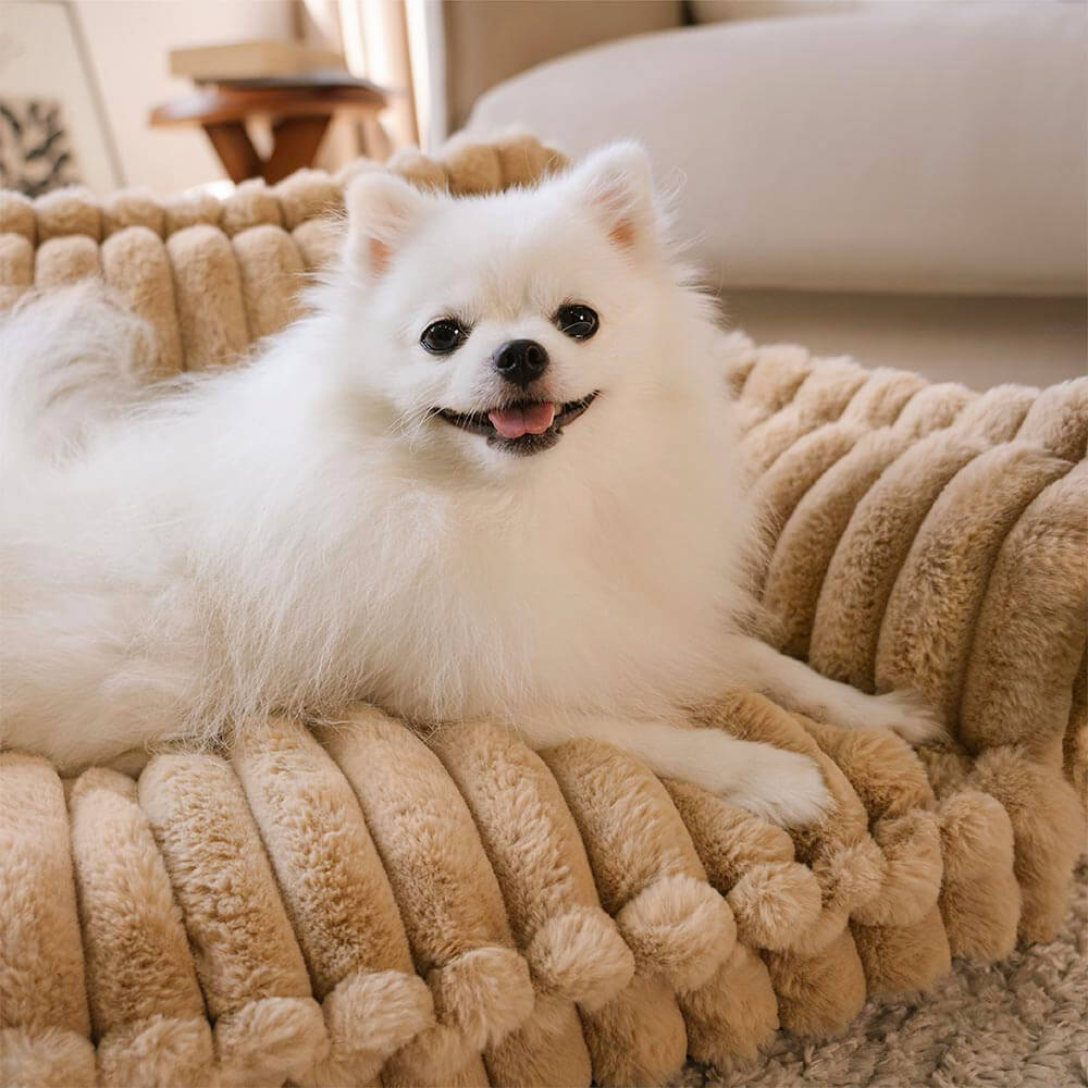 THE COZYPAWS LUXE PET SOFA