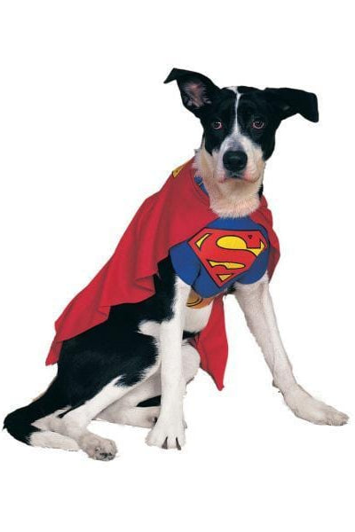 SUPERMAN DOG COSTUME