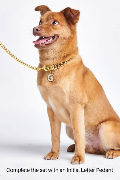 COLLAR DORADO LUXURY PUP