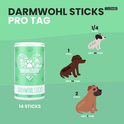 Darmwohl Sticks (Wert 24,90€)