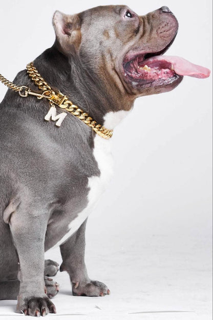 COLLAR DORADO LUXURY PUP